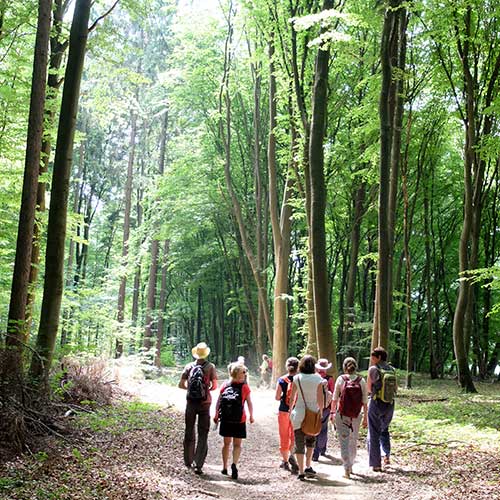 Foto von Ulrike Schneider